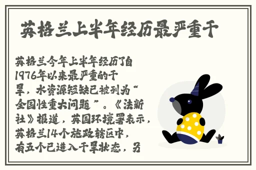 幼儿交13000部网站